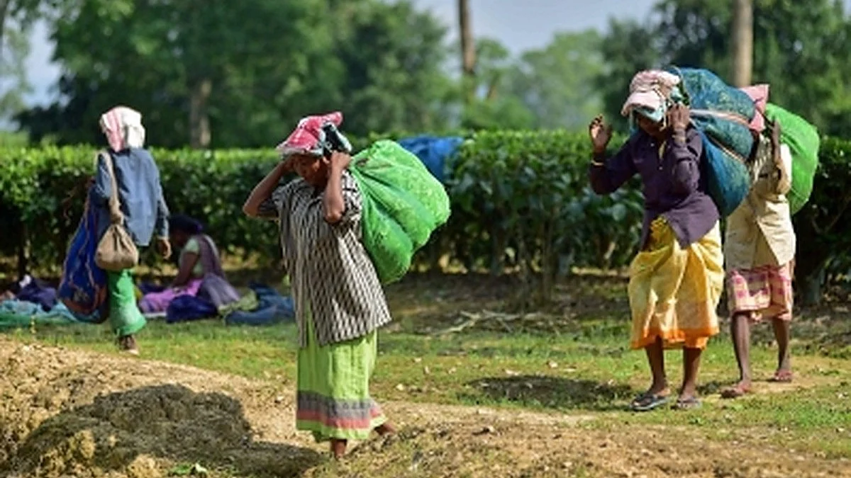 Representative image (Photo: IANS)