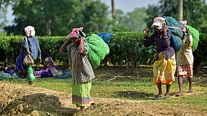 To avoid Manipur-like conflict, Assam govt defers ST status to six ethnic groups