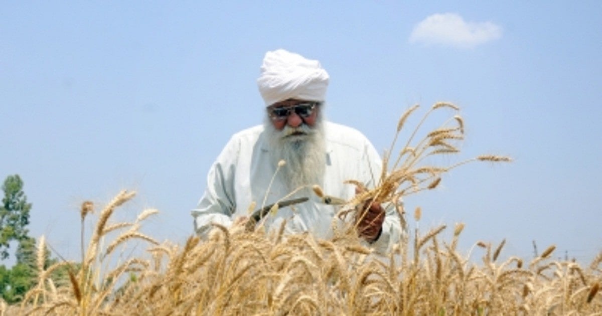 Rising CO2 levels may boost crop calories but reduce nutrients, study finds