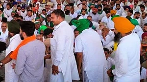 Haryana: Farmers gather in Pipli for mahapanchayat demanding MSP on sunflower seed
