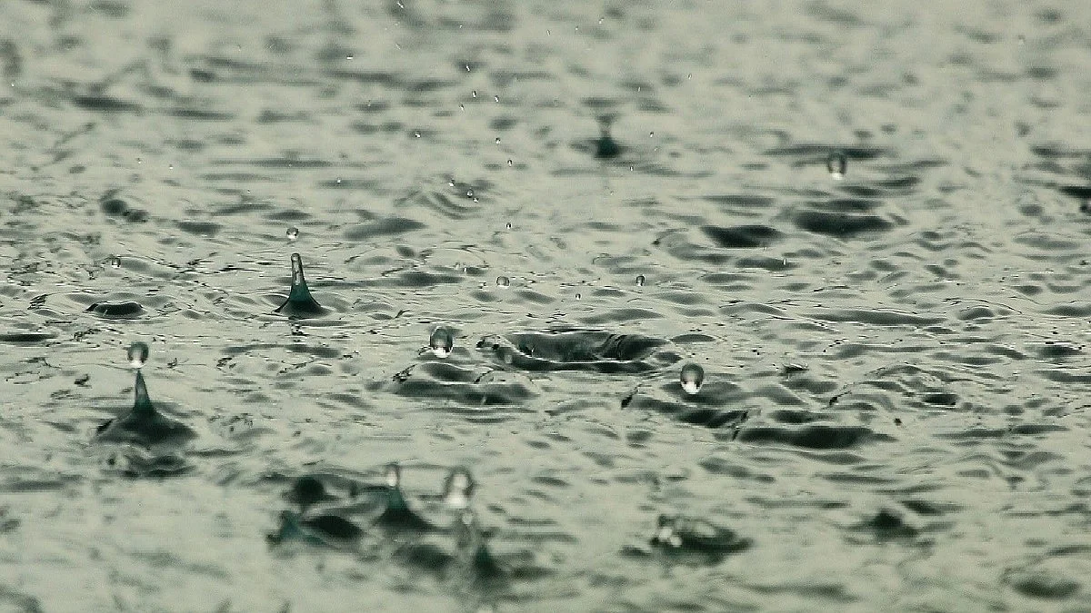 Representative image of raindrops landing in a puddle (photo: IANS)