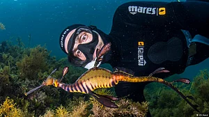 Marine biologist Uli Kunz and his fascination with the sea