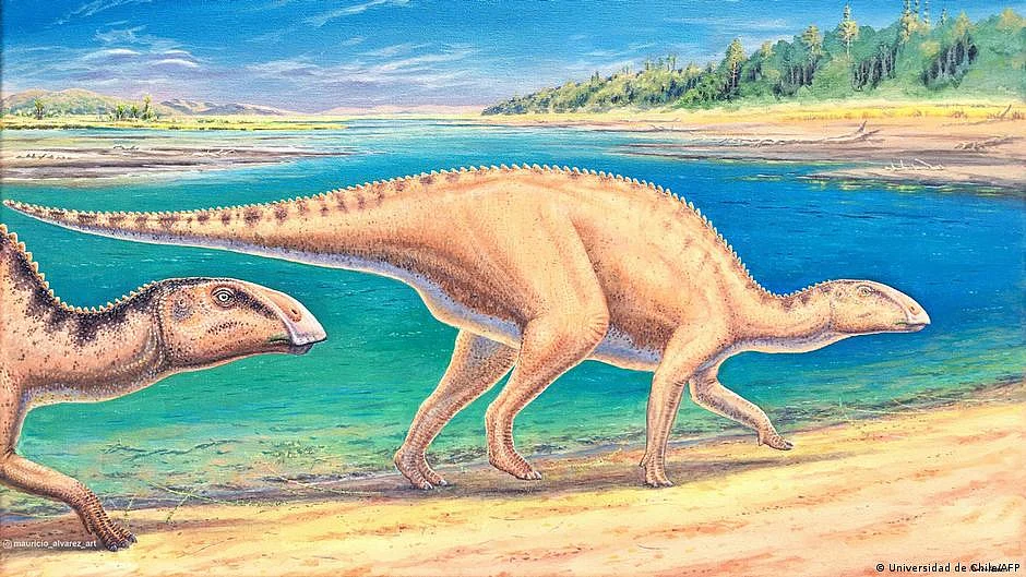 Representative illustration of dinosaurs (photo: DW)
