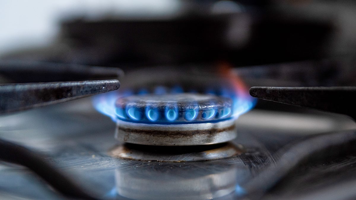 Combustion from gas stoves linked to high risk of blood cell cancers: Study
