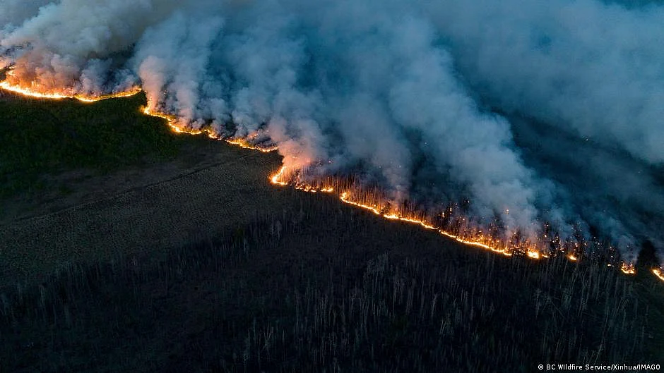 Representative image of Canada's wildfire (Photo: NH File Photo)