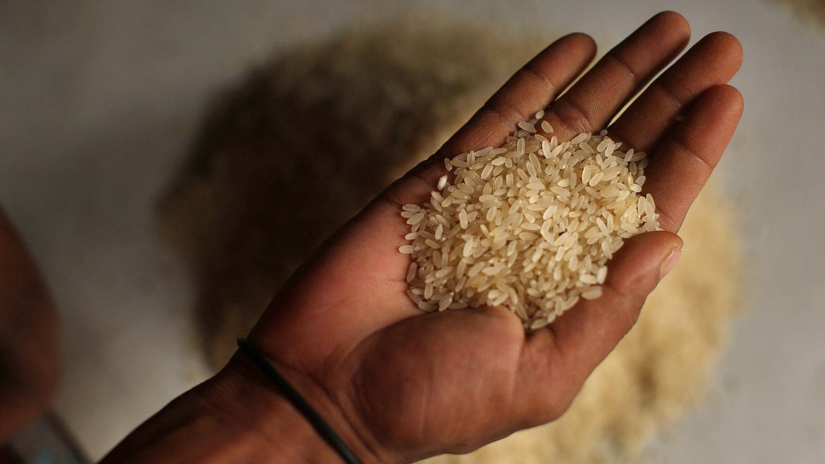 Govt hurting marginalised sections: Cong on Centre discontinuing sale of rice, wheat under OMSS