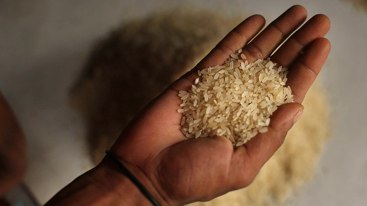 Representative image of a man holding a handful of rice grains.  (photo: Spencer Platt/Getty Images)