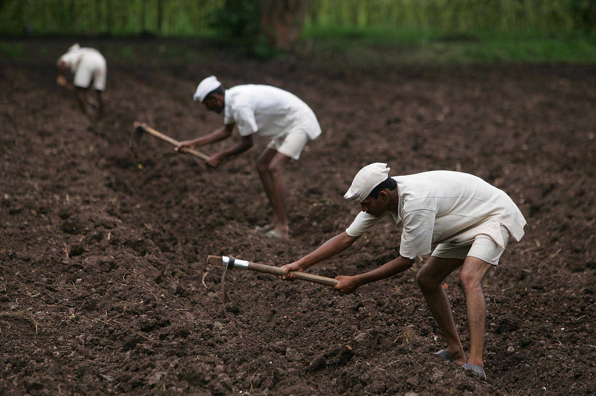 Inmates of Yerawada Jail work on a field close to the prison premises by day (photo: Ritesh Uttamchandani/Hindustan Times via Getty Images)