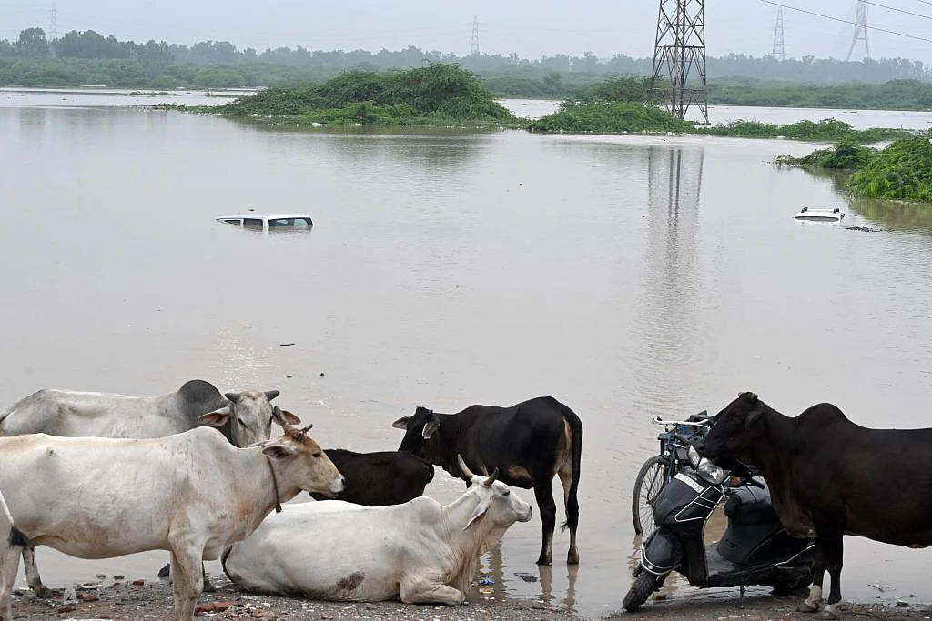 Vehicles have submerged because of the floods in New Delhi (Photo: Getty Images)