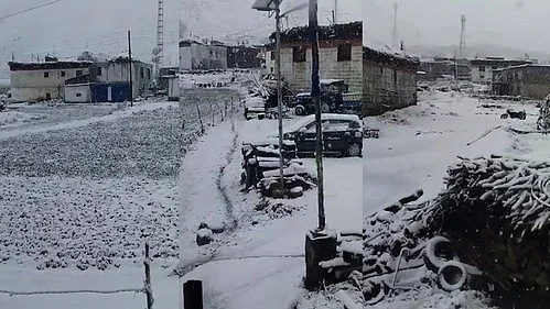 Snowfall in HP (photo: IANS)