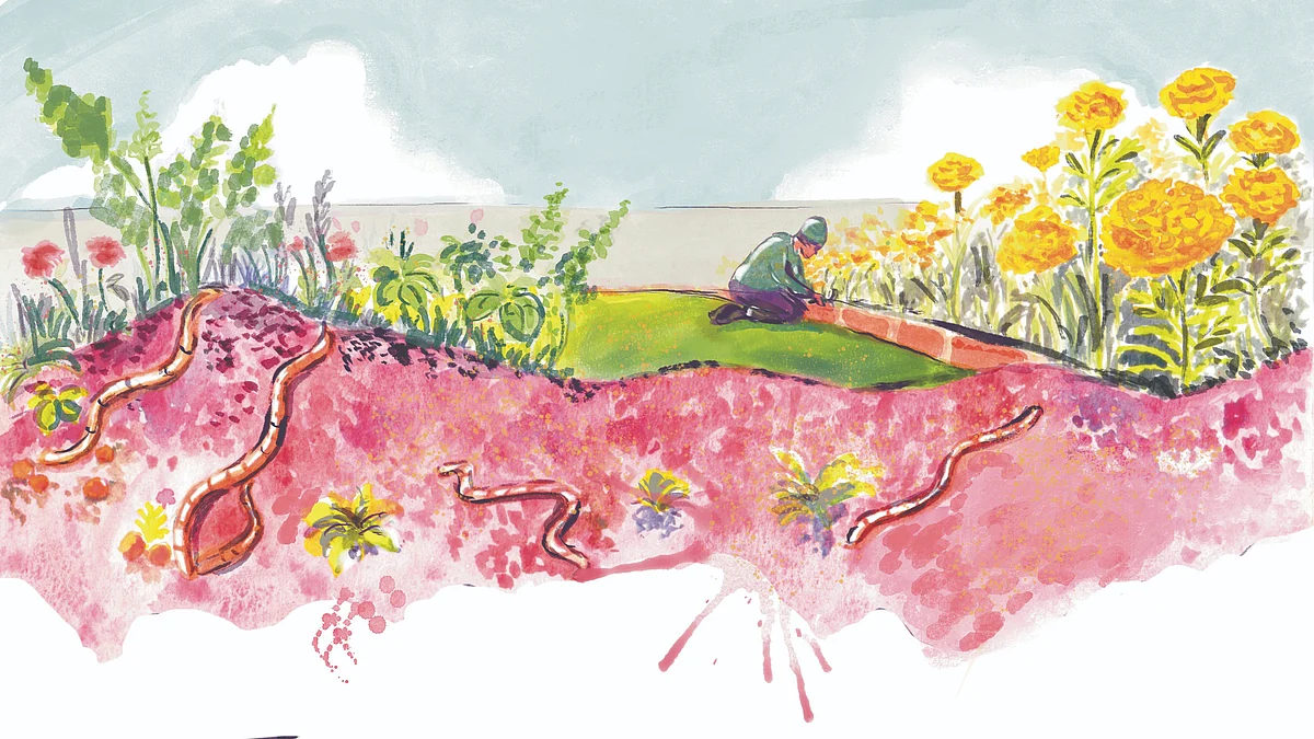 Illustration of a man growing flowers (Illustration: Vidya Gopal)