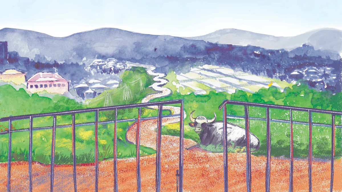 Easy does it: Rediscovering the perks of life in the slow lane