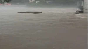 A swollen rive Sutlej (Image for representational purpose only