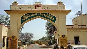 Rajasthan: NTCA declares Kumbhalgarh as tiger reserve
