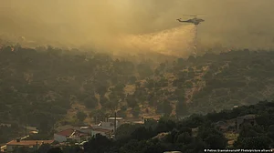 147 people dead in US due to extreme heat