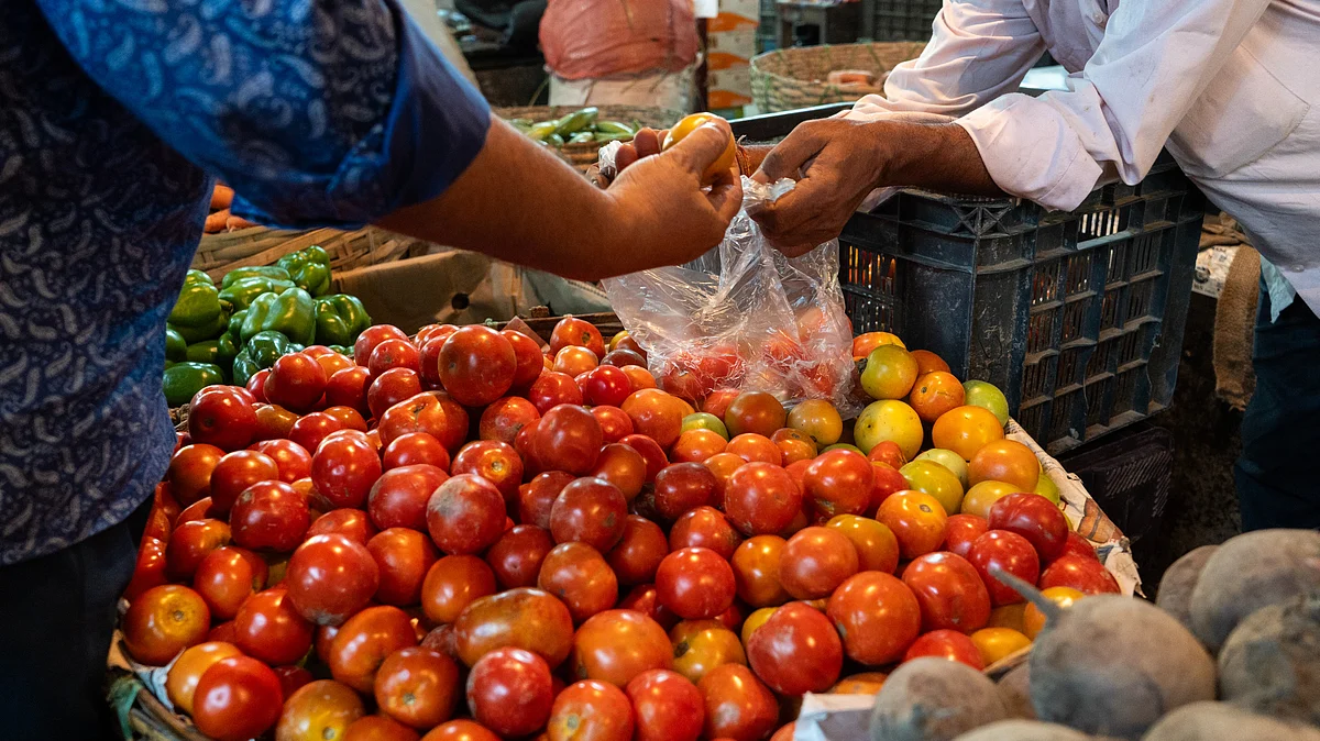 Pune farmer becomes millionaire off rising tomato prices, earns Rs 3 cr in 1 month