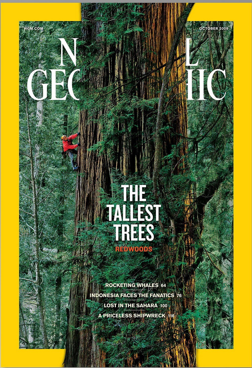 5 iconic National Geographic covers as its print era winds down