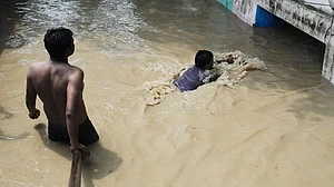 Doctors suggest preventive measures as vector-borne diseases threat looms over Delhi