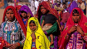 'Generate category-wise health data for tribal female population', Parl panel tells Centre