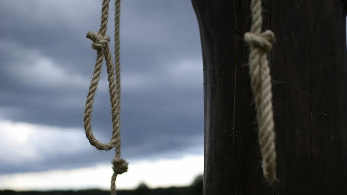 Representative image of a rope