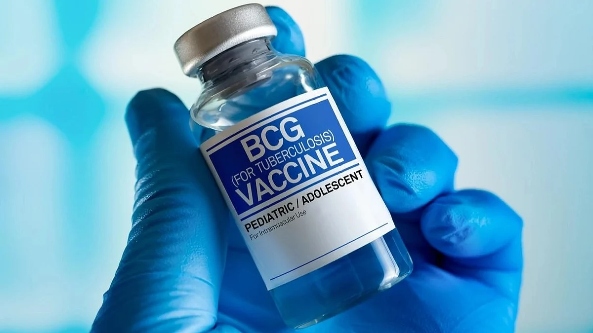 Bacillus Calmette-Guerin (BCG) vaccine which prevents tuberculosis. (Stock Image)