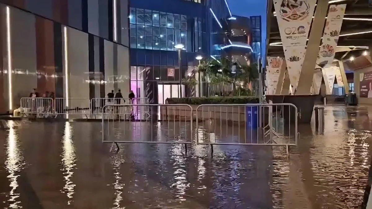 A screen grab from the viral video showing a portion of the waterlogged G20 summit venue