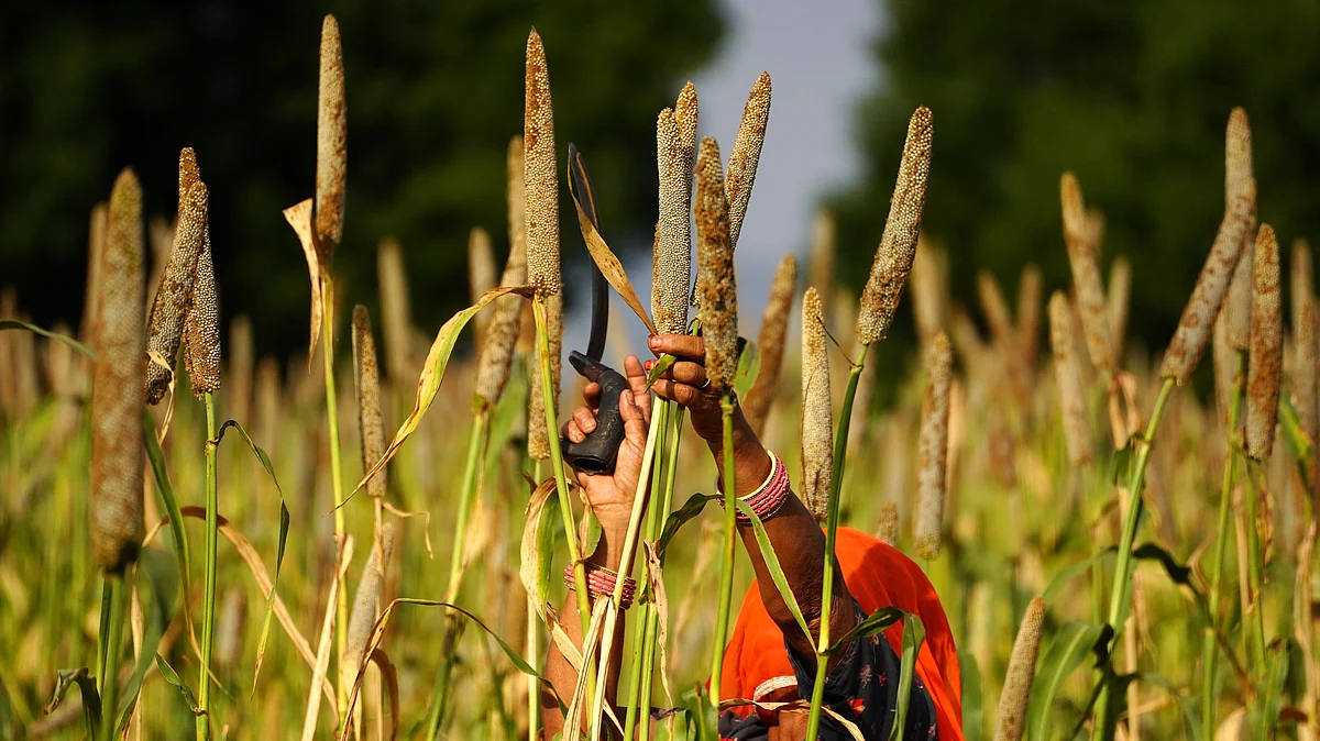 Economic Survey lays bare deep fault lines in Indian agriculture