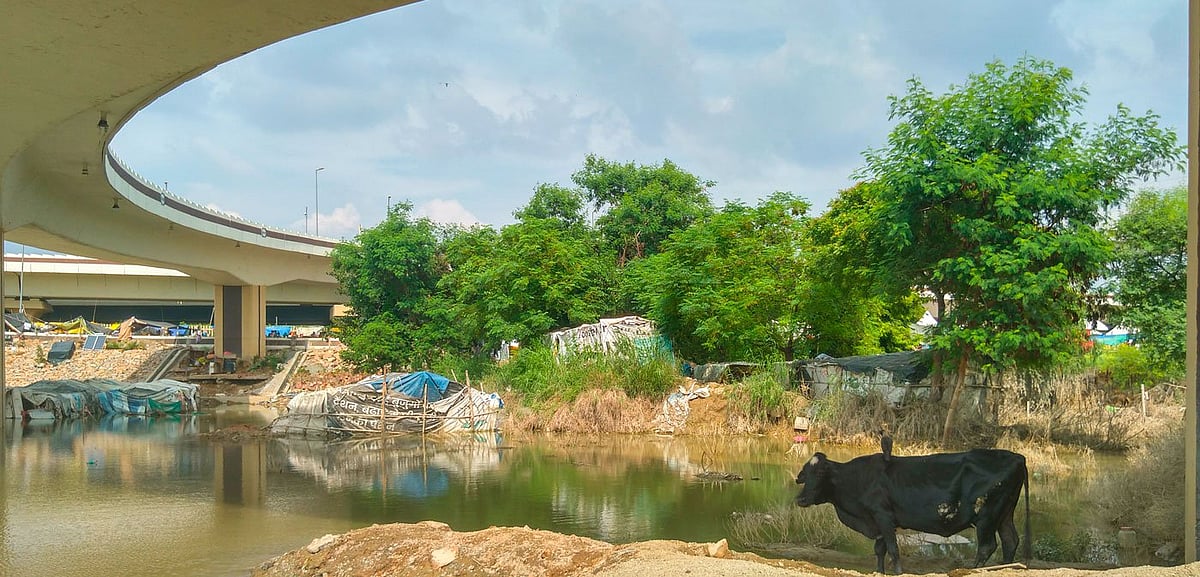 Flood waters entered homes under the flyover near Mayur Vihar metro station (photo: Shalini Singh for PARI)