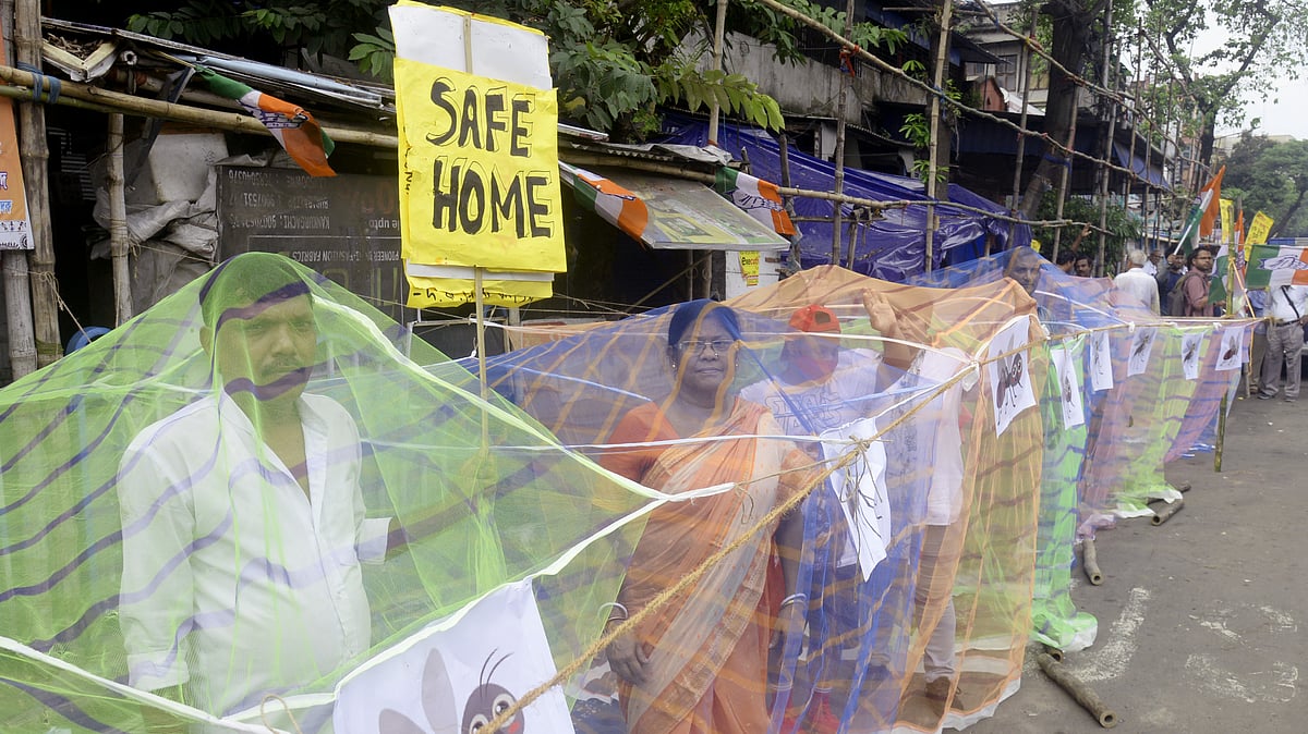 Dengue situation reaches alarming stage in Bengal with cases crossing 50 K-mark