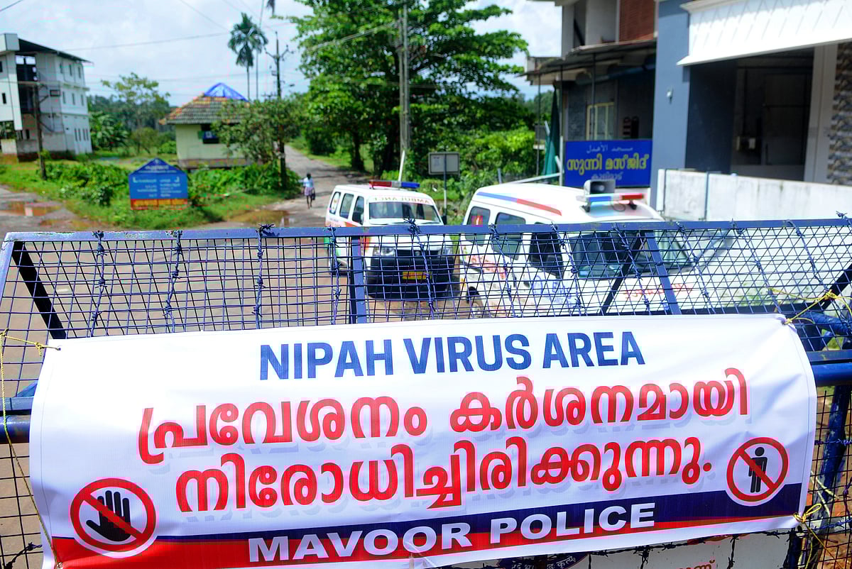 Nipah in Kerala: No fresh case in Kozhikode, 11 samples test negative