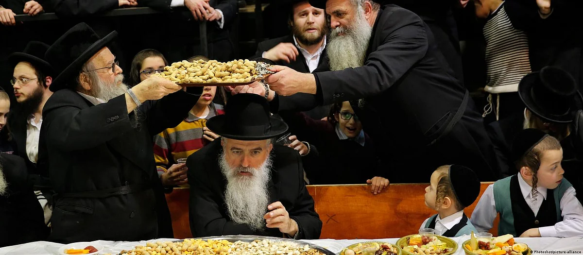 Tu BiShvat: New year of the Trees (Photo: DW)