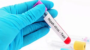 Schools reopen after Kozhikode Nipah scare, masks and sanitisers back