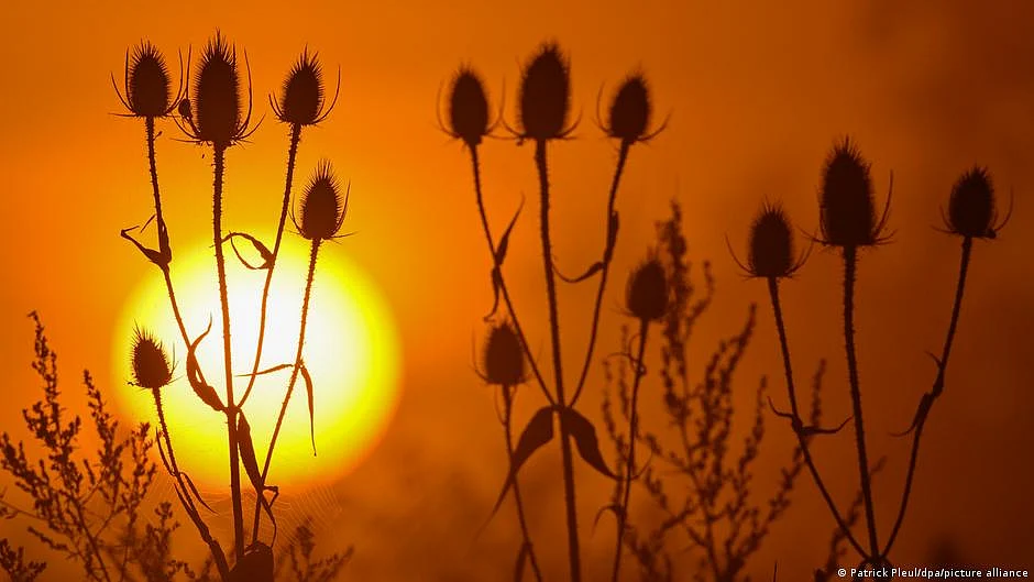 The fruits of our environmental negligence: unbearable heat (representative image)