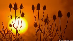 The fruits of our environmental negligence: unbearable heat (representative image)