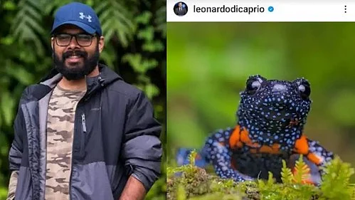 The galaxy frog photographed by Sandip Das resembles a classic Hollywood alien (photo: IANS)