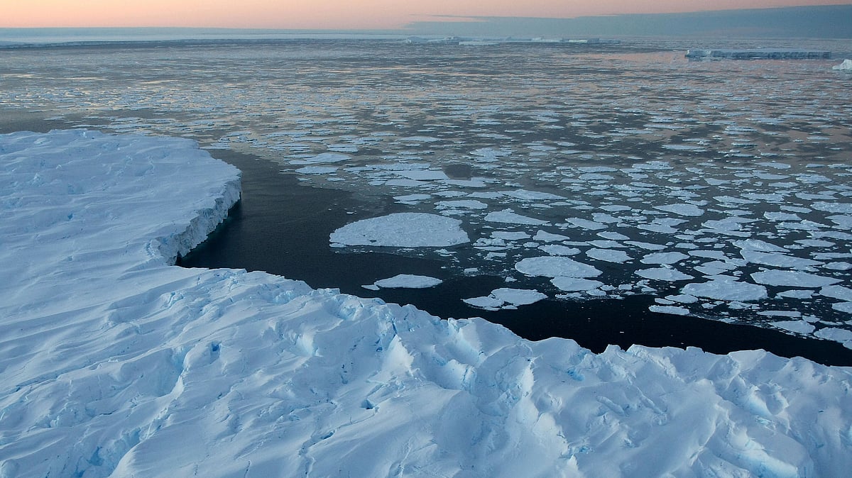 Antarctica's ice shelves reduced over 40% in 25 yrs: Study
