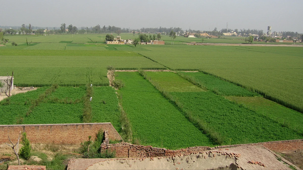 The prolific agricultural activity in Punjab has come at a significant cost (photo: Wikipedia)