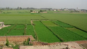 Groundwater in Punjab unsafe, poses serious health risks: IIT Mandi study