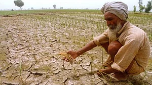 Bihar economic ‘census’ rich in data but misses out on agriculture and land