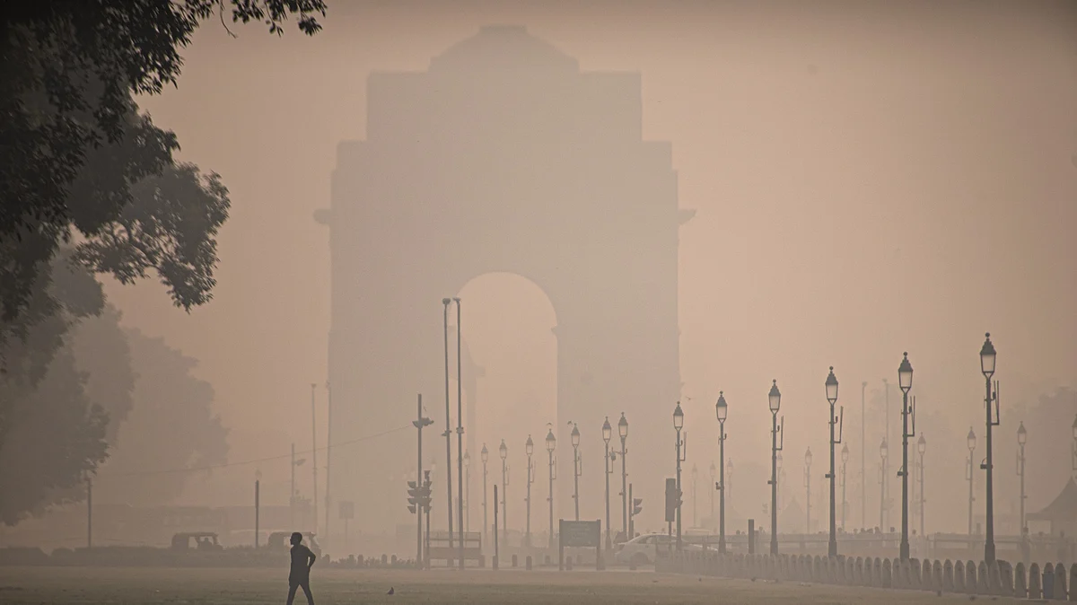 A man walks on the lawns of the Kartavya Path near India Gate in New Delhi, India on 1 November (Photo: Kabir Jhangiani/NurPhoto via Getty Images)