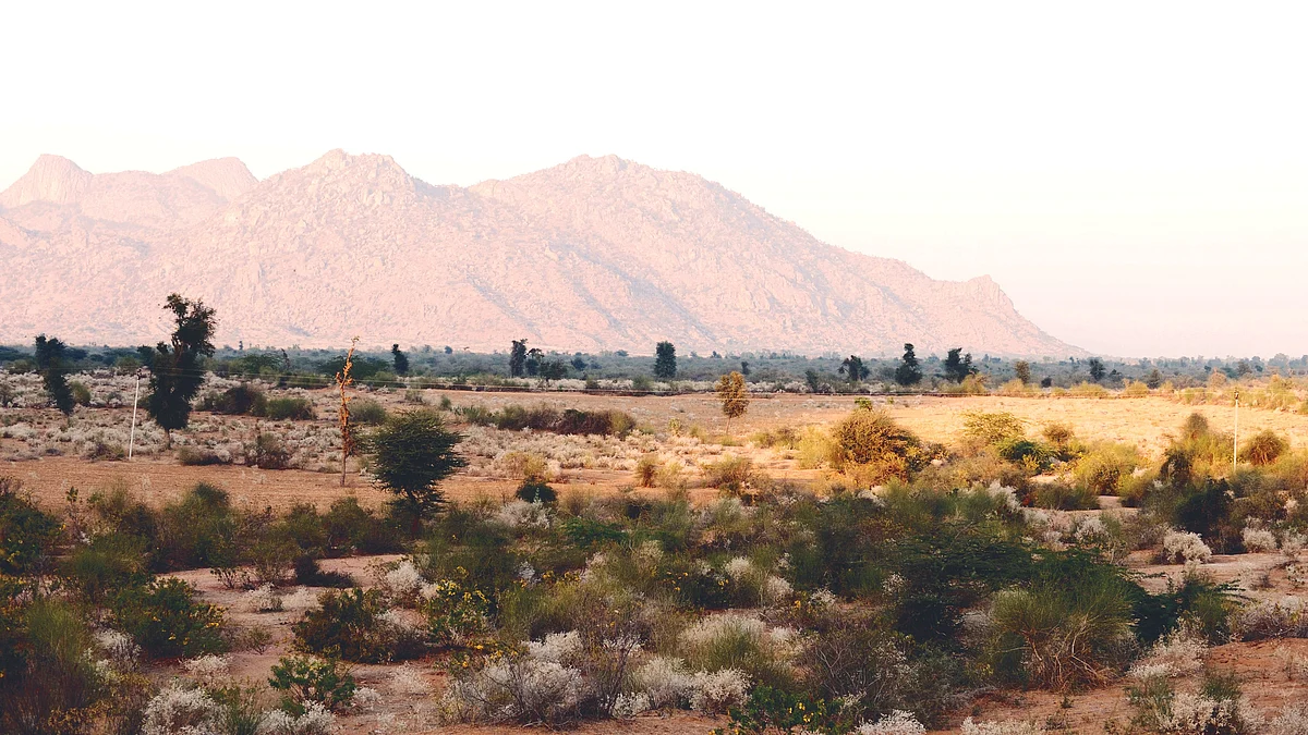 Greening India ≠ Green India: Let wastelands be 