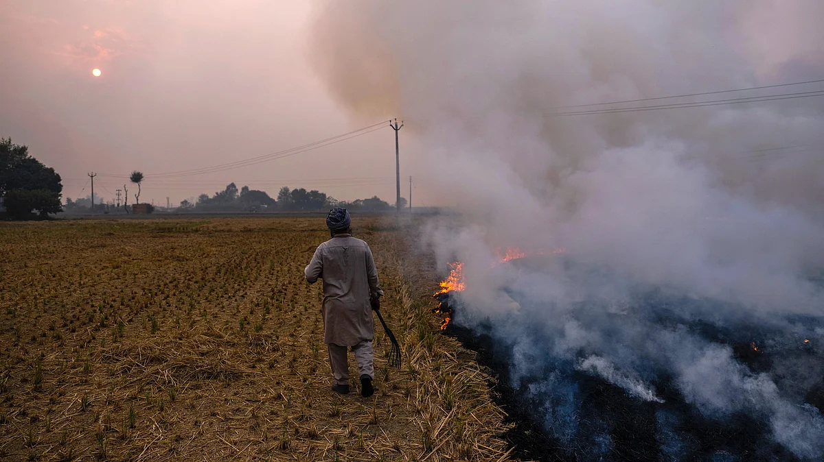 Representative image of farmers in north India burn stubble in preparation for the winter crop (photo: Getty Images)