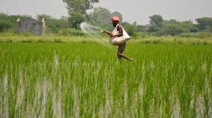 Govt fertiliser subsidy bill likely to fall up to 34% this fiscal: minister