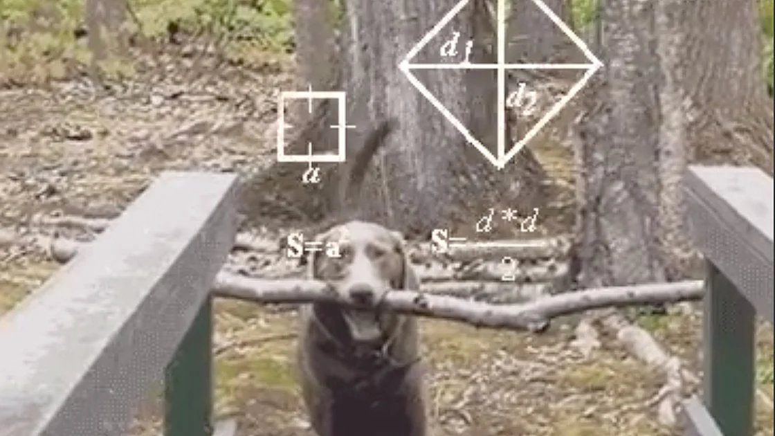 In 2023: Top 5 reel trends we loved