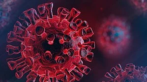 India saw 11.9 lakh excess deaths during pandemic, 8 times official count: study