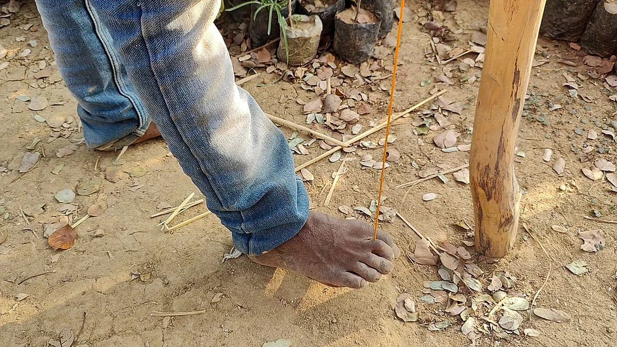 The feet that pull the strings