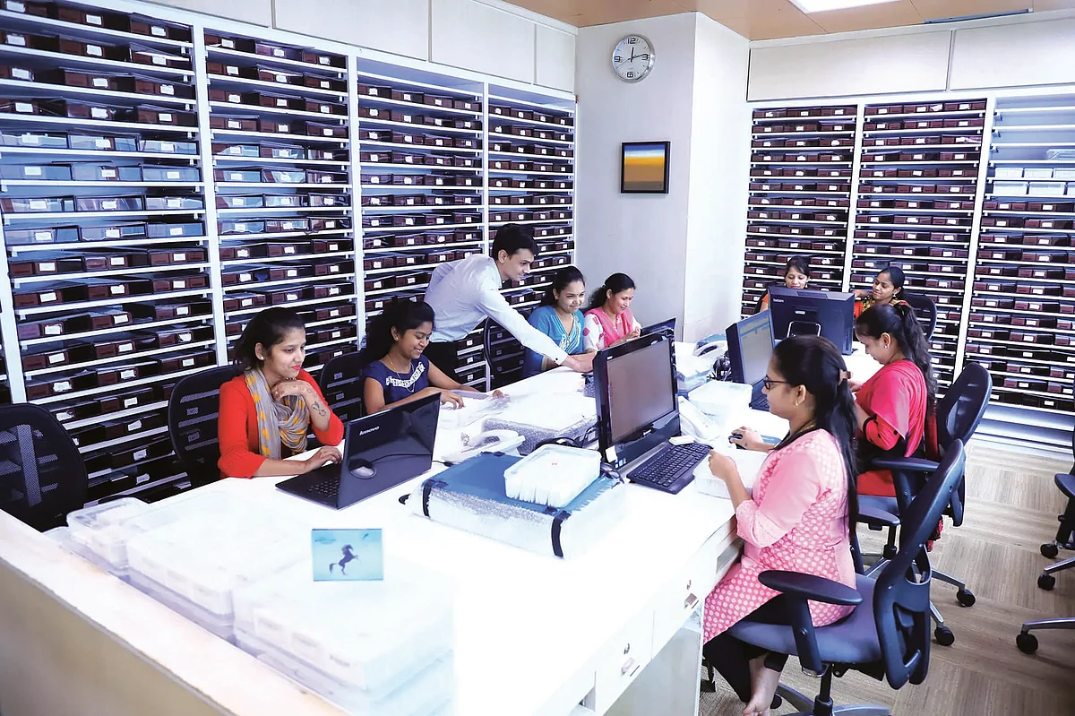 Gujarat: GIFT City, ghost towns and grey geese