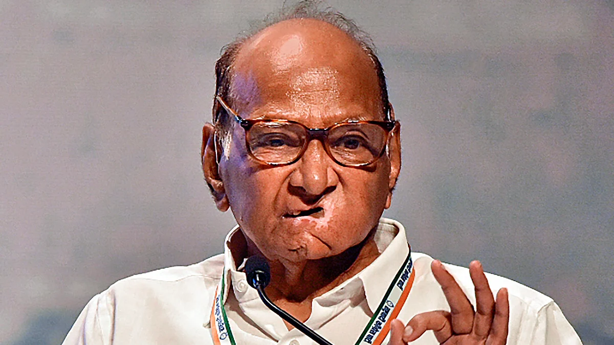 Sharad Pawar anticipates a significant improvement in the performance of opposition parties compared to the 2019 polls (photo: PTI)