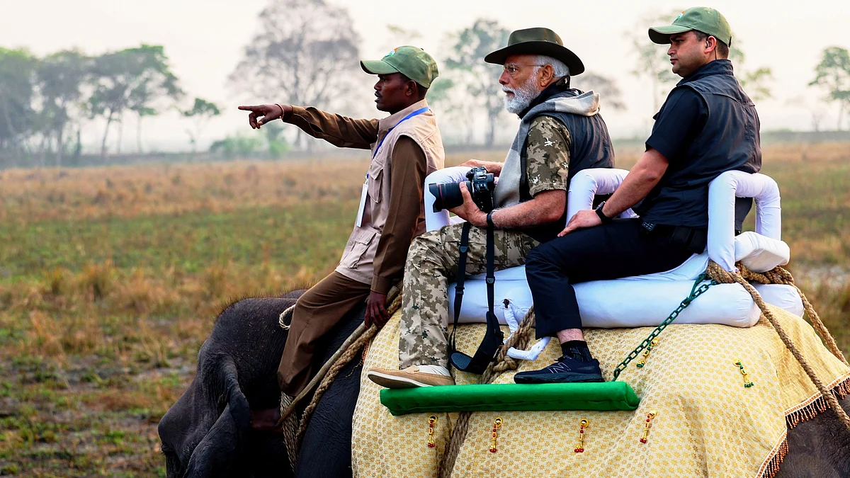 Prime Minister Narendra Modi takes an elephant ride at Assam's Kaziranga National Park on 9 March (photo: PTI)