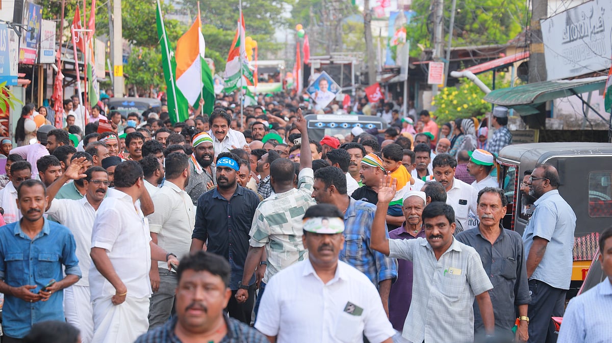 Supporters of political parties participate in the rally